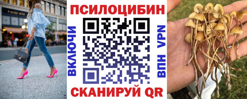 Псилоцибиновые грибы мицелий  Купить закладки  Амурск 